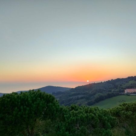Vista Sulle Isole Dell'Arcipelago Toscano Nibbiaia Chambre photo